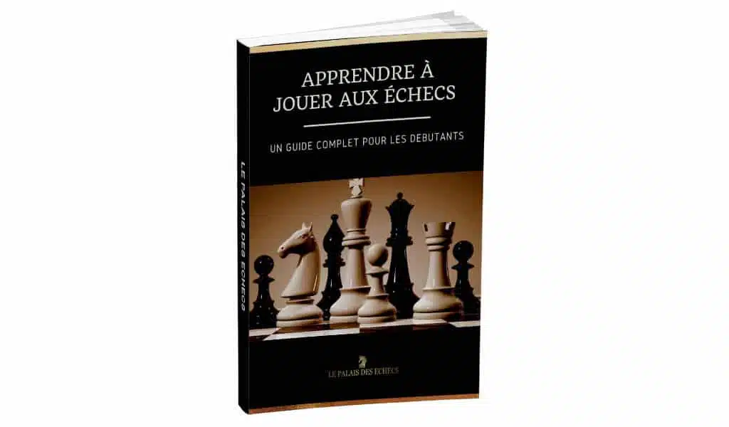 Digital Book for Beginners