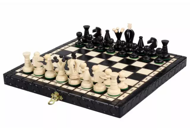 Petit Ensemble de Jeu d’Echecs Pliable en Bois Noir et Ivoire 30 x 30 cm