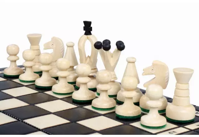 Petit Ensemble de Jeu d’Echecs Pliable en Bois Noir et Ivoire 30 x 30 cm