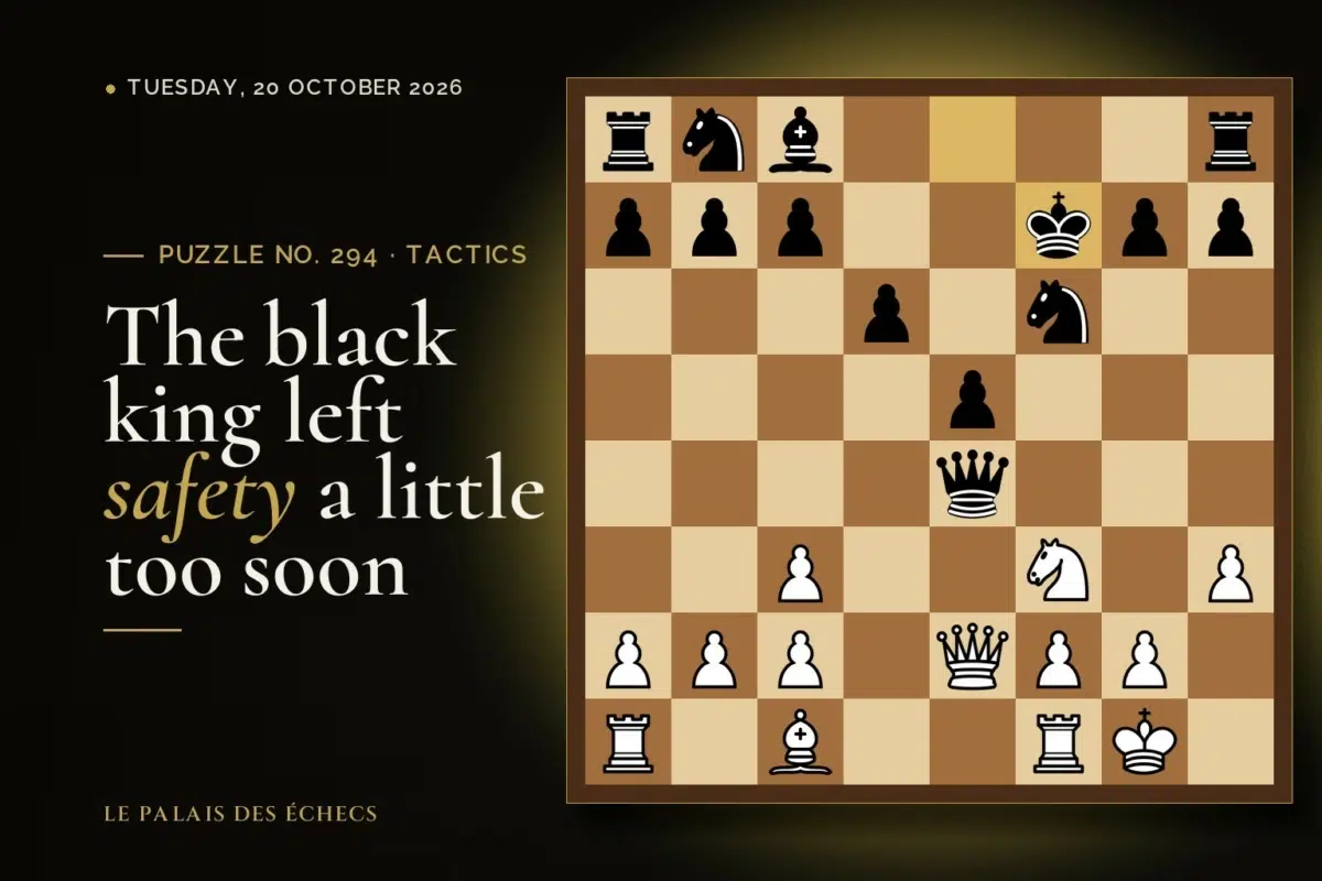Position of chess puzzle No. 294: White to play and win material